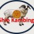 shio kambing 2016