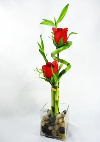 Kisah Bunga Mawar Dan Pohon Bambu Tionghoa Info