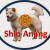 shio anjing 2016