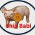 shio babi 2016