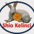 shio kelinci 2016