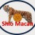 shio macan 2016