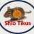 shio tikus 2016