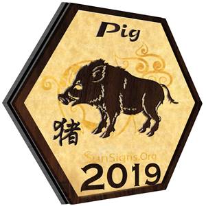 Ramalan Shio Babi Di Tahun 2019