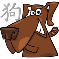 Ramalan Shio Anjing 2022 – Jodoh, Usaha, Keuangan, Kesehatan dan Fengshui