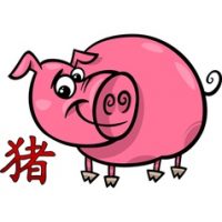 Ramalan Shio Babi 2022 – Jodoh, Usaha, Keuangan, Kesehatan dan Fengshui